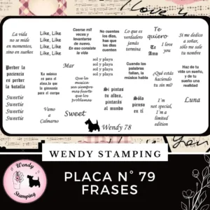 Placa Stamping N 78 Frases