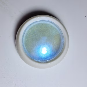 Polvo aurora